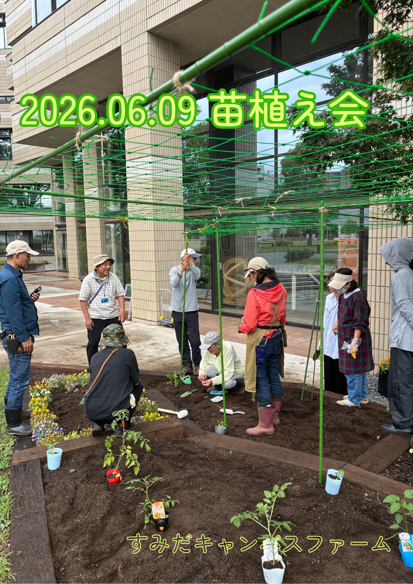 【レポート】すみだキャンパスファームにて野菜の苗植え会を行いました。