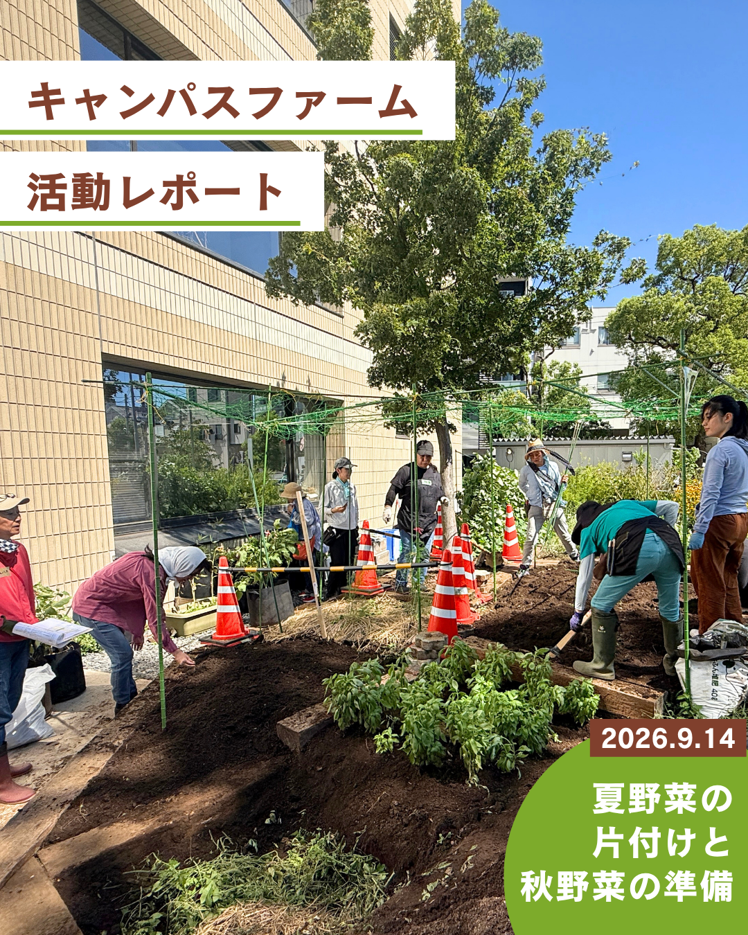 【活動レポート】9/14キャンパスファーム第二回体験会
